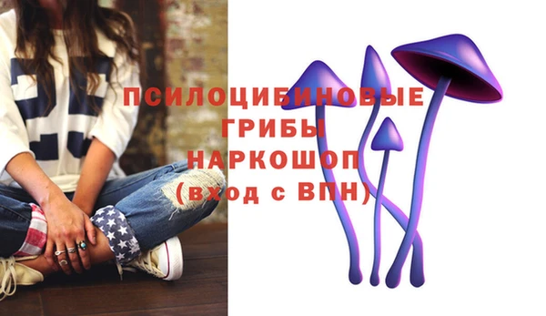 спайс Белокуриха