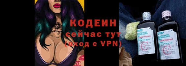 спайс Корсаков