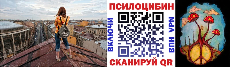 МЕГА зеркало  даркнет сайт  Пятигорск  Галлюциногенные грибы мицелий 