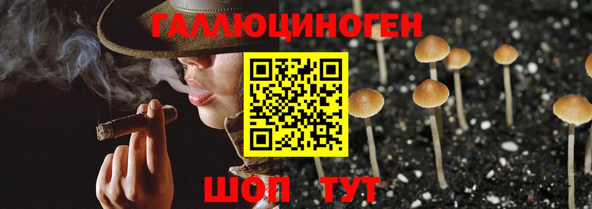 Пятигорск  Галлюциногенные грибы Psilocybe  Вход с VPN 