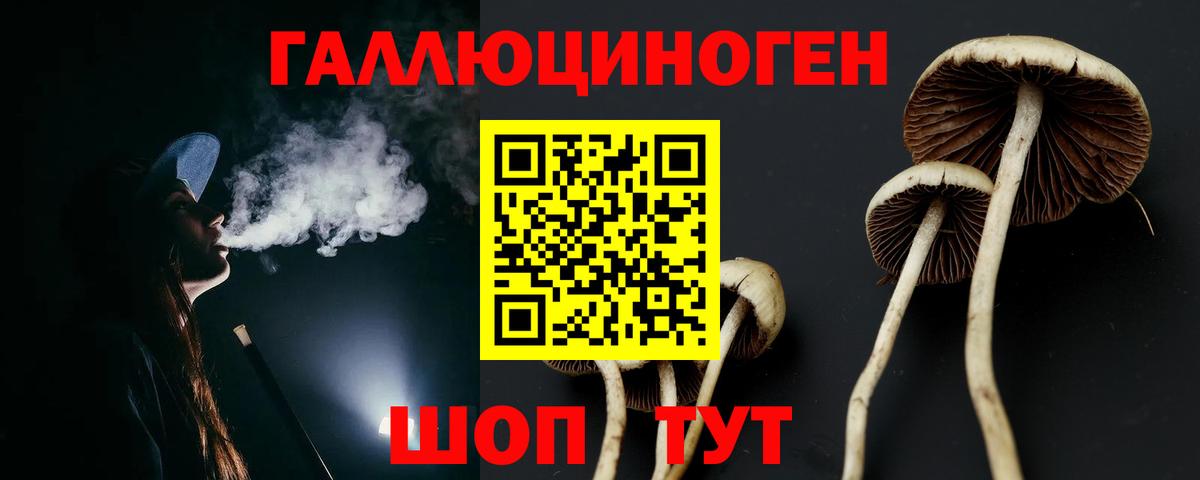 Псилоцибиновые грибы ЛСД Пятигорск