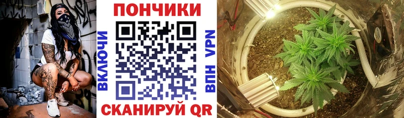 хочу   Пятигорск  Марихуана ГИДРОПОН 